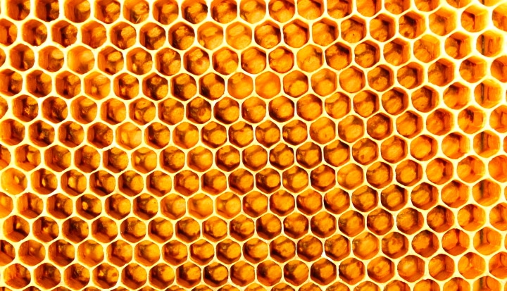 Harnessing The Business Potential Of Honey - Business Fights Poverty