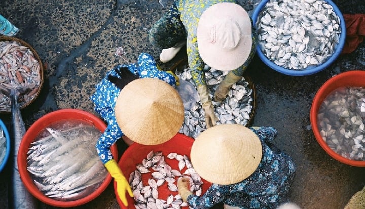 _Fish market, Vĩnh Trường_ by Khánh Hmoong is licensed under CC BY-NC 2.0_3.jpg