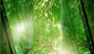 Sustainable Green Building and Green Tree Tops ESG