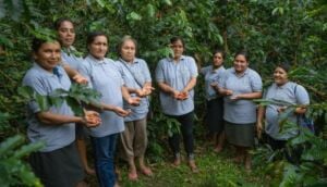 Economic Empowerment of Women in Coffee