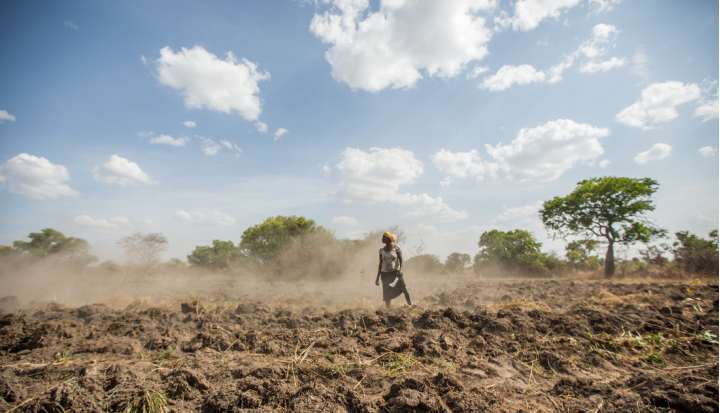 Women-led climate solutions for resilient communities