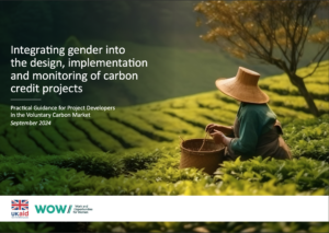 Gender Voluntary Carbon Market