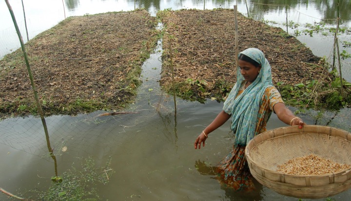 woman preparing to sow seeds on floating garden