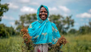 Biochar-Application-on-a-Groundnut-Farm-in-Ghana