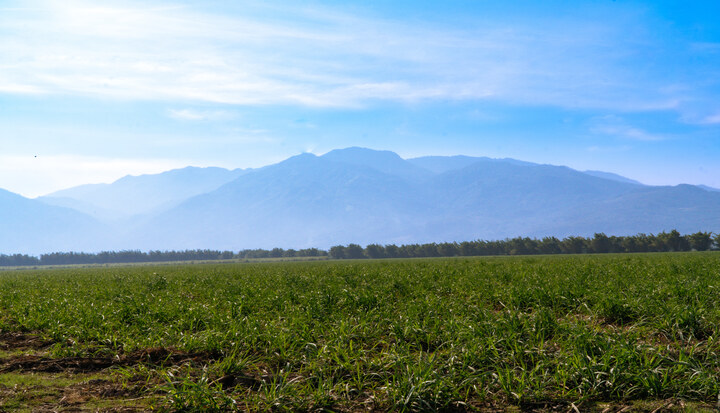 Bonsucro and Better Cotton Unite to Strengthen Climate Resilience in Agriculture