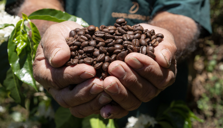 Agroecology and food systems