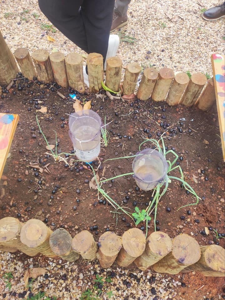 From the Highway to the Blue Zone:heat stress, flooding, and disease vectors