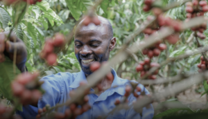 people-centred climate action