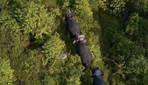 Why Landscape Initiatives Are Becoming More Relevant as Agri-Food Business Supply Risks IncreaseWhy Landscape Initiatives Are Becoming More Relevant as Agri-Food Business Supply Risks Increase