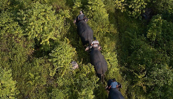 Why Landscape Initiatives Are Becoming More Relevant as Agri-Food Business Supply Risks IncreaseWhy Landscape Initiatives Are Becoming More Relevant as Agri-Food Business Supply Risks Increase