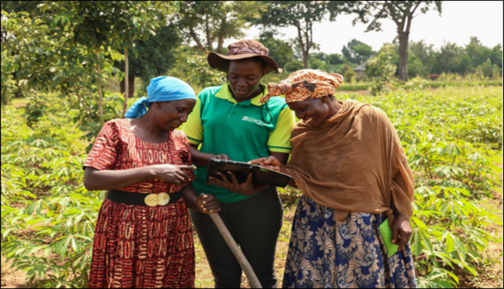 Digital advisory services for smallholder farmers