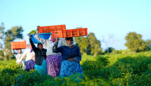 women-farmers-food-systems-food-loss-waste